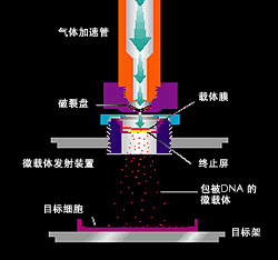 PDS-1000/ He 系统1